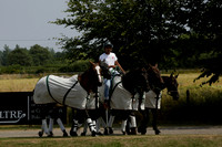 Silver Fox v Wintershall in a July 4 Goal Polo match 2013.07.17