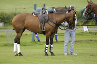 Banana Men v Gales in the Bryan Bethell Cup Final Polo match 2013.06.22