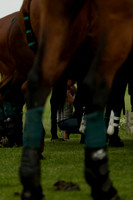 Maiz Dulce v Four Quarters Black in a Benson Cup Polo match 2013.06.19