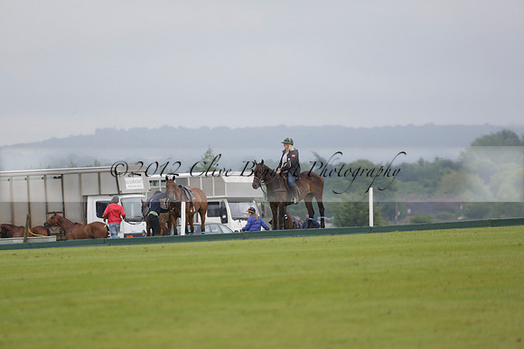 Burningfold v Combe Place in a June 4 Goal Cup polo match 2013.06.11