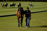 Combe v Pluma Negra / 4H in a July 4 Goal Polo match 2013.07.08