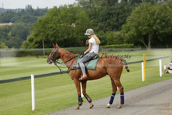 Beau Design v Boscom in an August Rother Cup 4 goal polo match at Cowdray Park Polo Club on Wednesday 07 August 2013