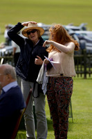 Enigma v La Bamba de Areco in a Veuve Clicquot Gold Cup Polo Match 2013.06.29