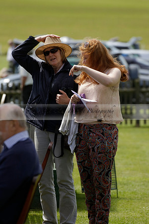 Enigma v La Bamba de Areco in a Veuve Clicquot Gold Cup Polo Match 2013.06.29