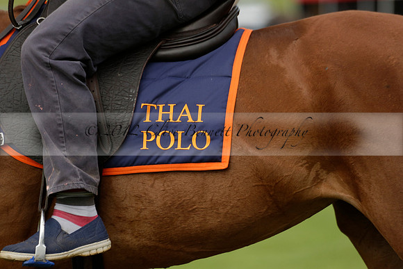 Enigma v Thai Polo in a Veuve Clicquot Gold Cup Polo Match 2013.06.25
