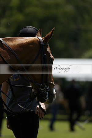 Black Bears v Salkeld in a Cartier Queens Cup polo match 2013.06.05