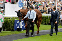 Race 6 Goodwood The British Stallion Studs Turf Club E.B.F. Fillies Stakes. 20130731. Race winner Ribbons owner Elite Racing Club