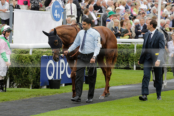 Race 6 Goodwood The British Stallion Studs Turf Club E.B.F. Fillies Stakes. 20130731. Race winner Ribbons owner Elite Racing Club