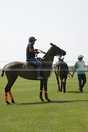 Four Quarters Orange v Montana in a Cicero Cup Polo match 2013.06.06