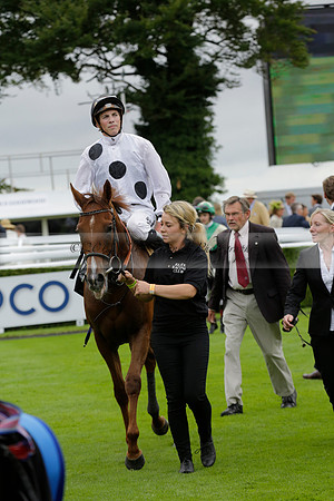 Race 6 Goodwood The British Stallion Studs Turf Club E.B.F. Fillies Stakes. 20130731. Race winner Ribbons owner Elite Racing Club