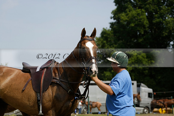 El Remanso v Sumaya in a Veuve Clicquot Gold Cup Polo Match 2013.07.13