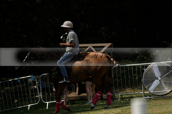 Zacara v Talandracas in a Veuve Clicquot Gold Cup Polo Match 2013.07.18
