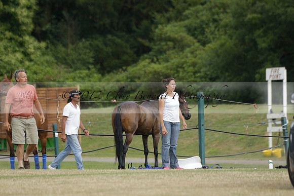 El Remanso v Sumaya in a Veuve Clicquot Gold Cup Polo Match 2013.07.13