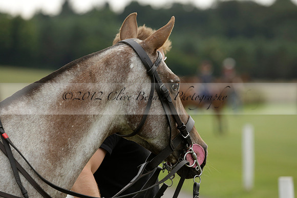 Beau Design v Boscom in an August Rother Cup 4 goal polo match at Cowdray Park Polo Club on Wednesday 07 August 2013