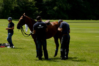 Twelve Oaks v HB Polo in a Veuve Clicquot Gold Cup Polo Match 2013.06.30