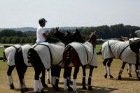 Silver Fox v Wintershall in a July 4 Goal Polo match 2013.07.17