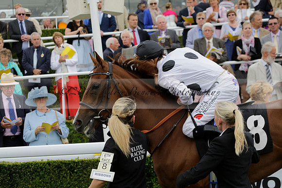Race 6 Goodwood The British Stallion Studs Turf Club E.B.F. Fillies Stakes. 20130731. Race winner Ribbons owner Elite Racing Club