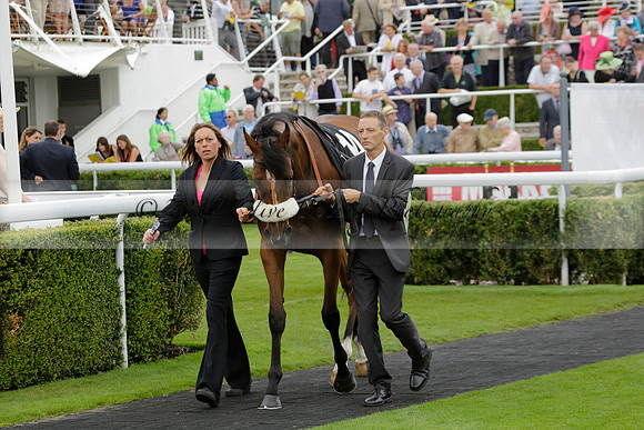 Race 6 Goodwood The British Stallion Studs Turf Club E.B.F. Fillies Stakes. 20130731. Race winner Ribbons owner Elite Racing Club