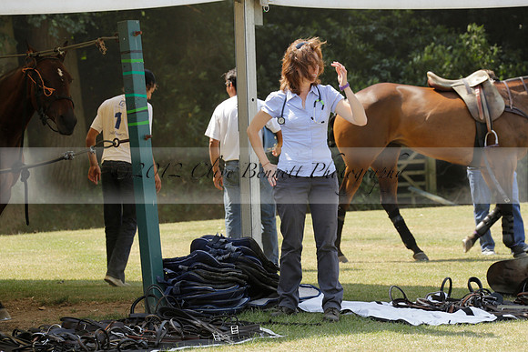 Zacara v Talandracas in a Veuve Clicquot Gold Cup Polo Match 2013.07.18