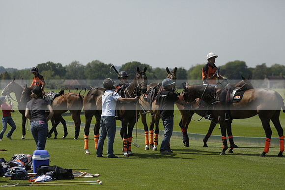 Four Quarters Orange v Montana in a Cicero Cup Polo match 2013.06.06