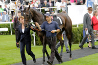 Race 6 Goodwood The British Stallion Studs Turf Club E.B.F. Fillies Stakes. 20130731. Race winner Ribbons owner Elite Racing Club