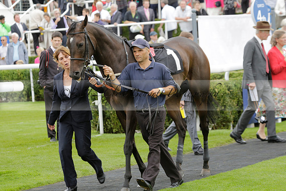 Race 6 Goodwood The British Stallion Studs Turf Club E.B.F. Fillies Stakes. 20130731. Race winner Ribbons owner Elite Racing Club
