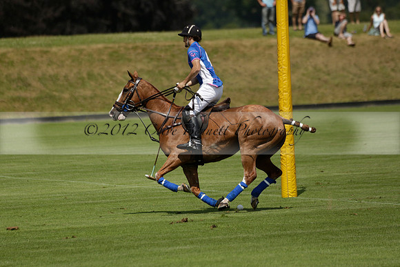 UAE Polo v El Remanso in a Veuve Clicquot Gold Cup Polo Match 2013.07.05