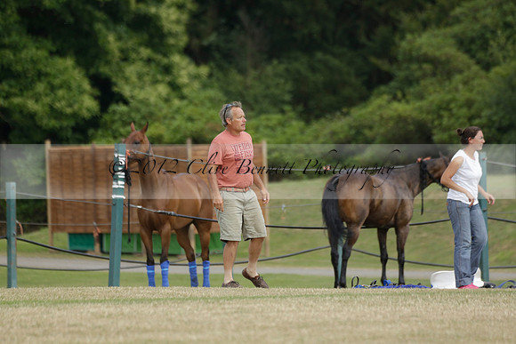 El Remanso v Sumaya in a Veuve Clicquot Gold Cup Polo Match 2013.07.13