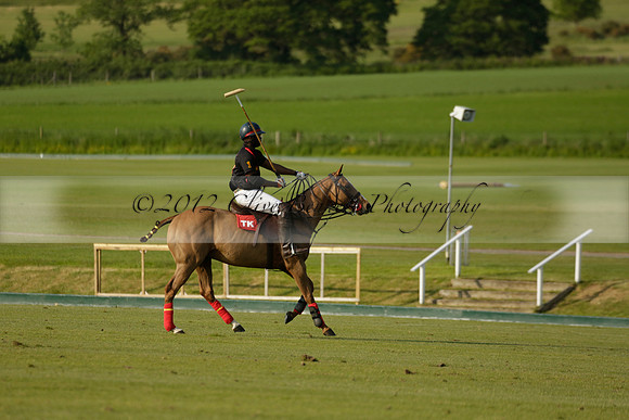 Shoreline v Cowdray Vikings in a Easebourne Cup Semi-final Polo match 2013.06.07