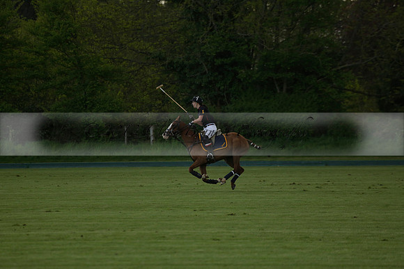 Las Estrellas v Shoreline in a May 4 Goal Spring Cup Polo match 2013.05.15