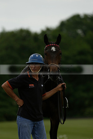 Maiz Dulce v Four Quarters Black in a Benson Cup Polo match 2013.06.19