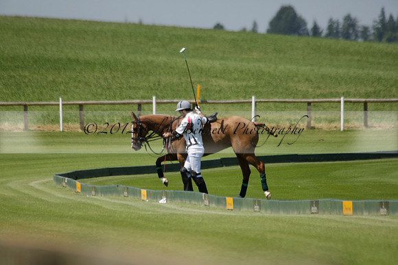 Enigma v Dubai in a Veuve Clicquot Gold Cup Polo Match 2013.07.08
