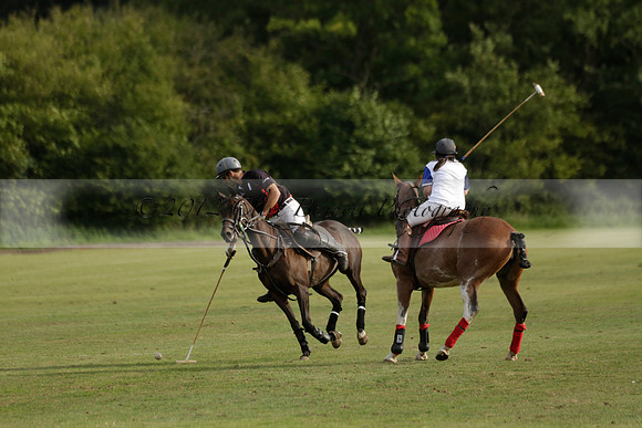 Thumos v Putney Architects in the -4 Goal Final at The Pro-Am City Polo Championships on Sunday 1 September 2013 at Ascot Park Polo Club. www.polopictures.co.uk