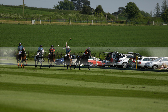 Four Quarters Orange v Montana in a Cicero Cup Polo match 2013.06.06