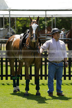 Black Bears v Salkeld in a Cartier Queens Cup polo match 2013.06.05