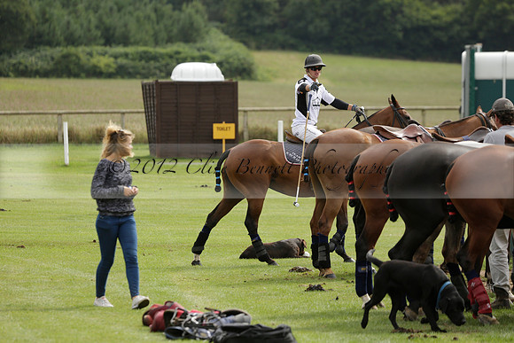 Beau Design v Boscom in an August Rother Cup 4 goal polo match at Cowdray Park Polo Club on Wednesday 07 August 2013