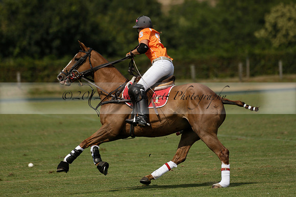 Cowdray Vikings v Enigma in a Bloom British Ladies Open Championship Polo match 2013.07.17