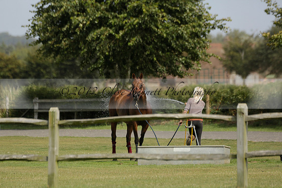 Maiz Dulce (green) v River (blue) in a Uber Polo Midsummer 12 goal polo match on Wednesday 21 August 2013 at Cowdray park Polo Club on Ambersham 2.  www.polopictures.co.uk