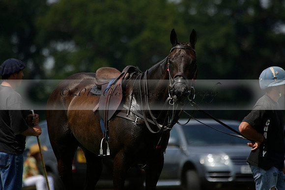 Talandracas v UAE Polo Team in a Veuve Clicquot Gold Cup Polo Match 2013.07.13
