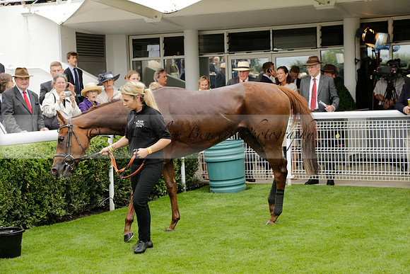 Race 6 Goodwood The British Stallion Studs Turf Club E.B.F. Fillies Stakes. 20130731. Race winner Ribbons owner Elite Racing Club