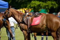 Dell Park  v La Indiana in a Jaeger Le Coultre Duke of Sutherland Cup Polo match 2013.05.27