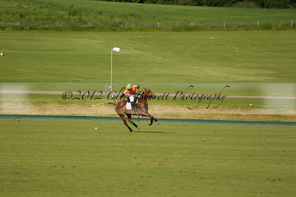 Shoreline v Cowdray Vikings in a Easebourne Cup Semi-final Polo match 2013.06.07