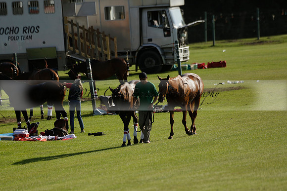El Remanso v Emlor in a Veuve Clicquot Gold Cup Polo Match 2013.06.30