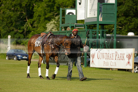 Shoreline v Cowdray Vikings in a Easebourne Cup Semi-final Polo match 2013.06.07