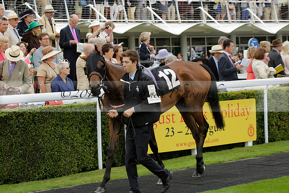 Race 6 Goodwood The British Stallion Studs Turf Club E.B.F. Fillies Stakes. 20130731. Race winner Ribbons owner Elite Racing Club
