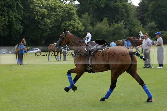 El Remanso v Sumaya in a Veuve Clicquot Gold Cup Polo Match 2013.07.13