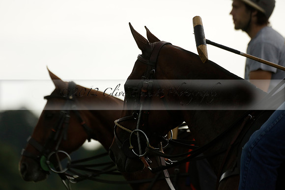 Enigma v Thai Polo in a Veuve Clicquot Gold Cup Polo Match 2013.06.25