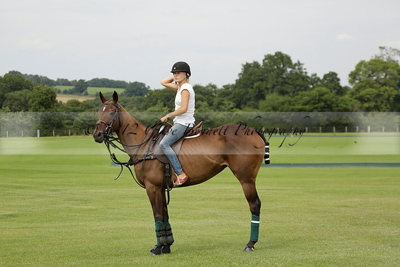Beau Design v Boscom in an August Rother Cup 4 goal polo match at Cowdray Park Polo Club on Wednesday 07 August 2013