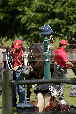 Enigma v La Bamba de Areco in a Veuve Clicquot Gold Cup Polo Match 2013.06.29