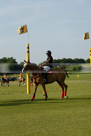 Shoreline v Cowdray Vikings in a Easebourne Cup Semi-final Polo match 2013.06.07